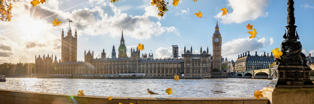 Big Ben and the Houses of Parliament seen from across the river.